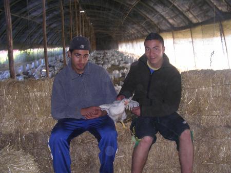 avec adbel
