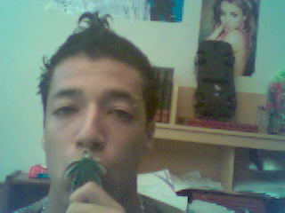mon pot toufik